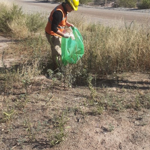 Campaña de limpieza